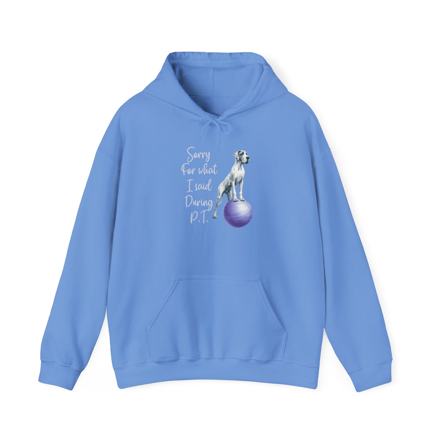 Funny PT Hoodie