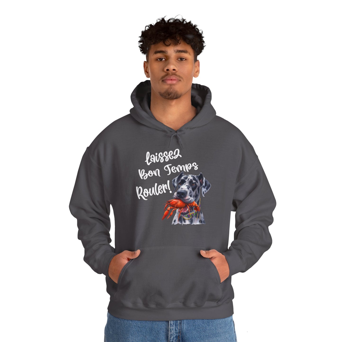 Great Dane Laissez Les Bon Temps Rouler Hooded Sweatshirt, Let the Good Times Roll Mardi Gras, Fat Tuesday, Carnival , Mardi Gras Gift, Dog Party