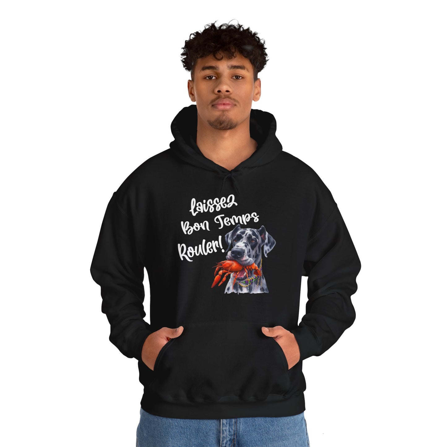 Great Dane Laissez Les Bon Temps Rouler Hooded Sweatshirt, Let the Good Times Roll Mardi Gras, Fat Tuesday, Carnival , Mardi Gras Gift, Dog Party