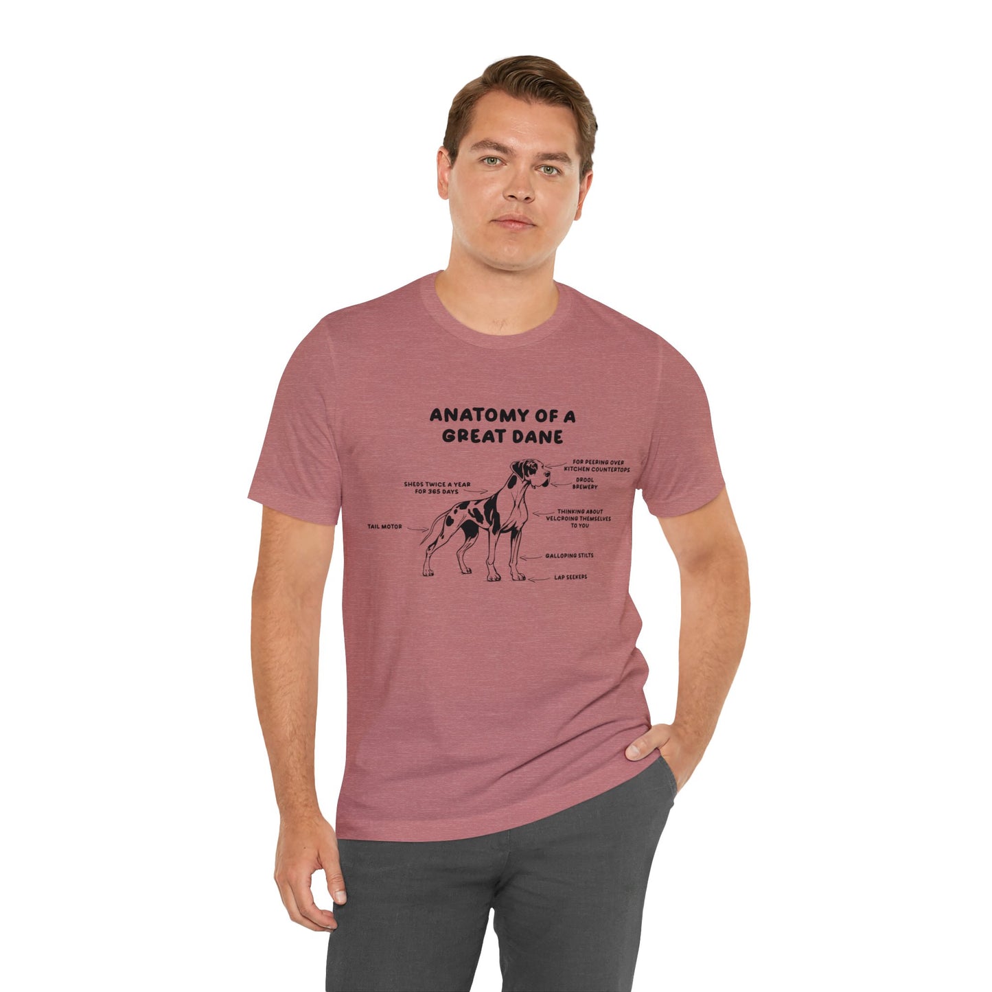 Anatomy of a Great Dane Funny Shirt