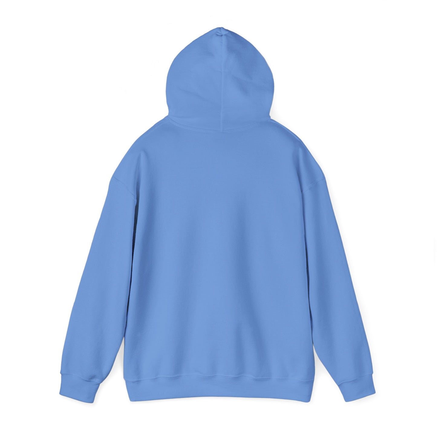 Funny PT Hoodie