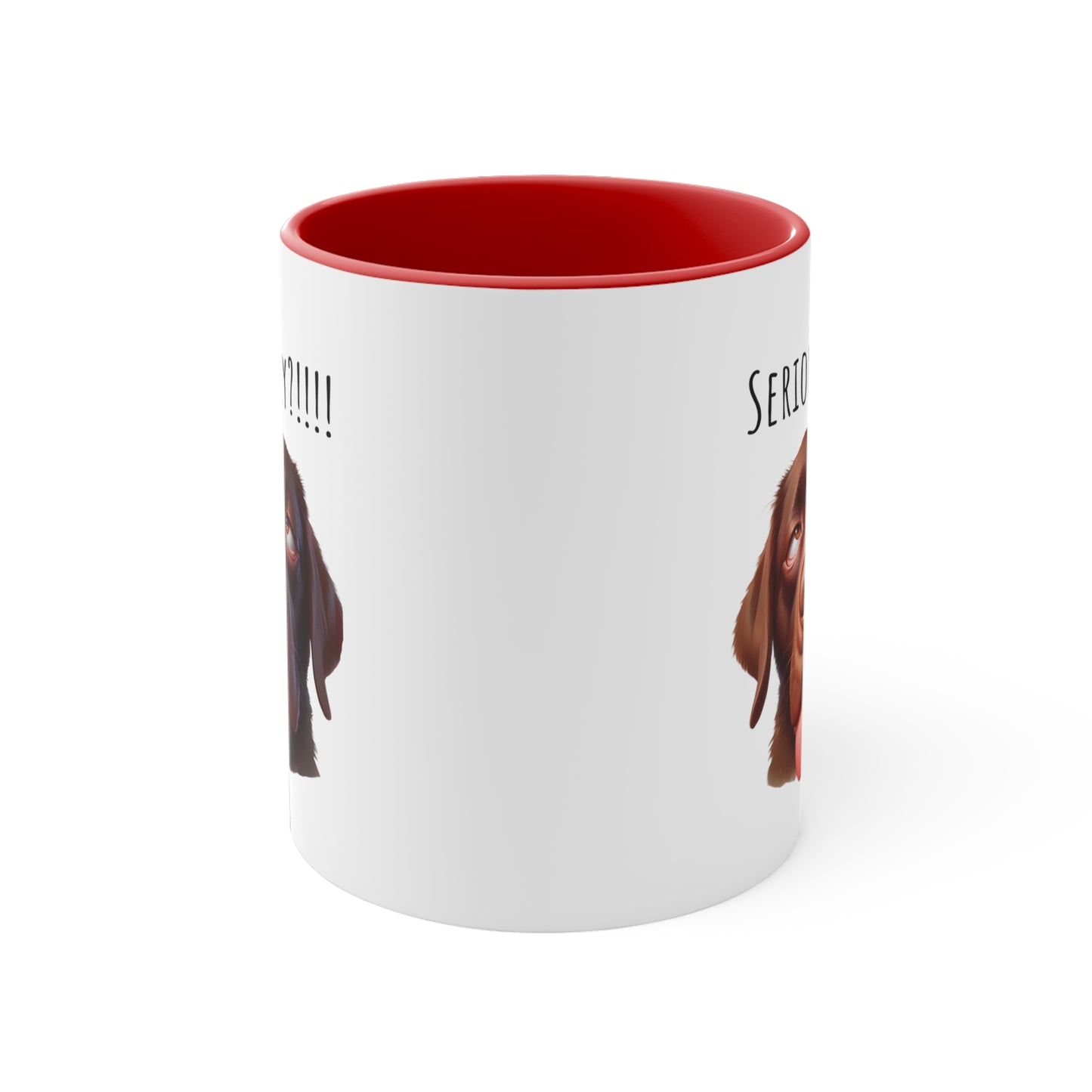 Seriously?!!! Funny Chocolate Lab Coffee Cup