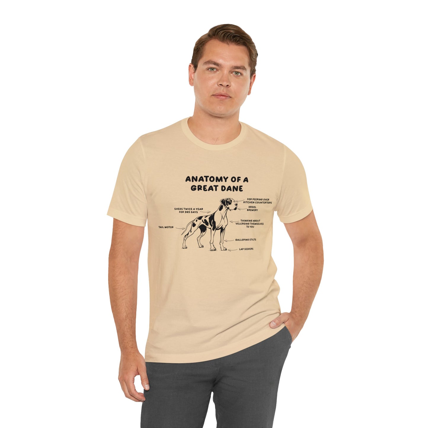 Anatomy of a Great Dane Funny Shirt