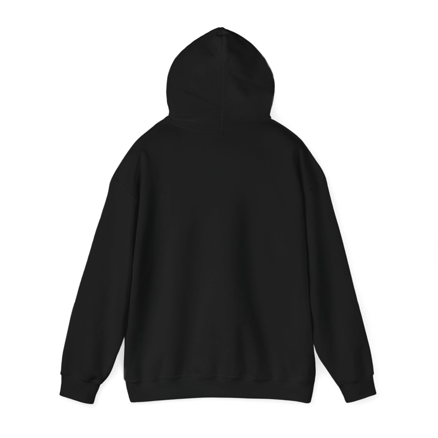 Funny PT Hoodie