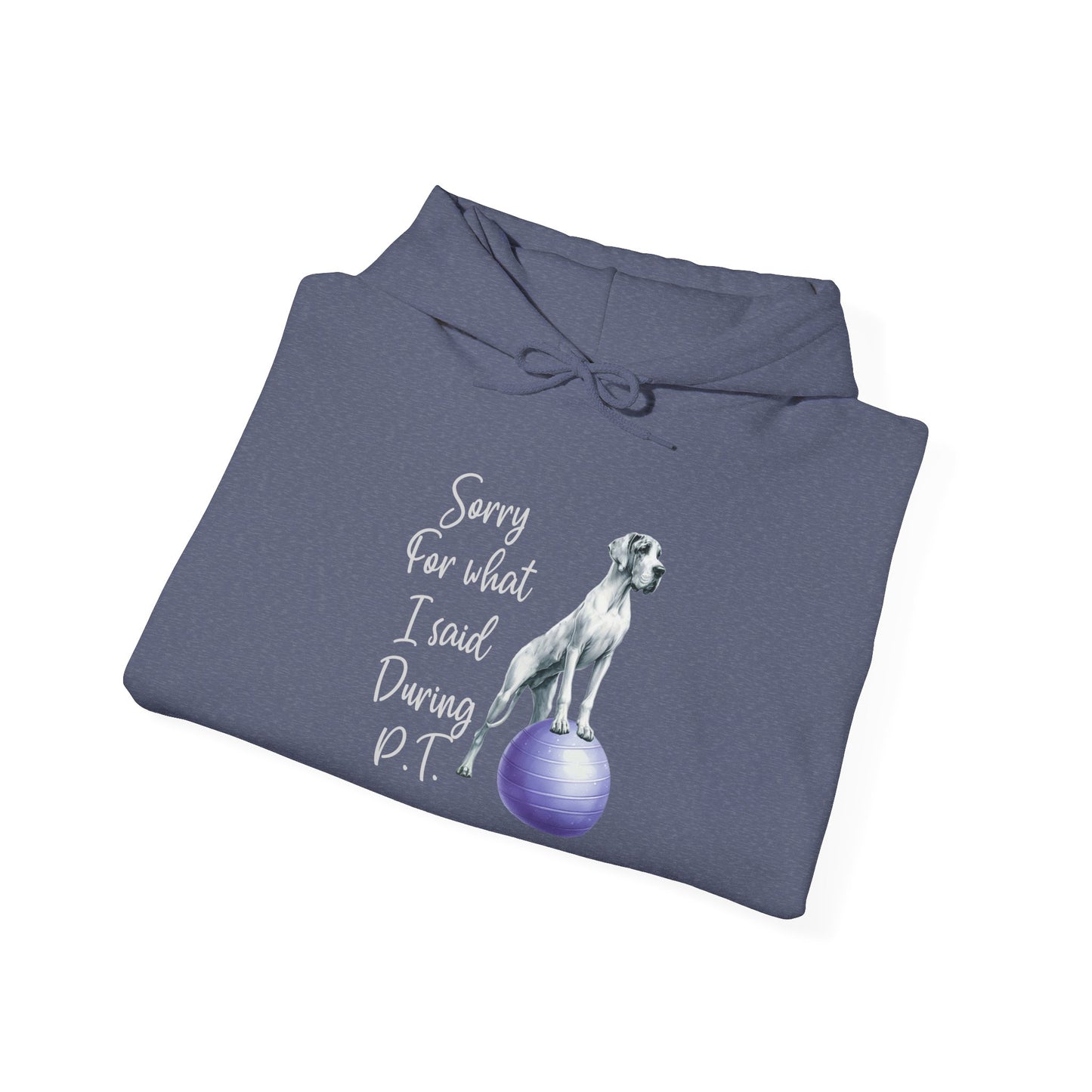 Funny PT Hoodie