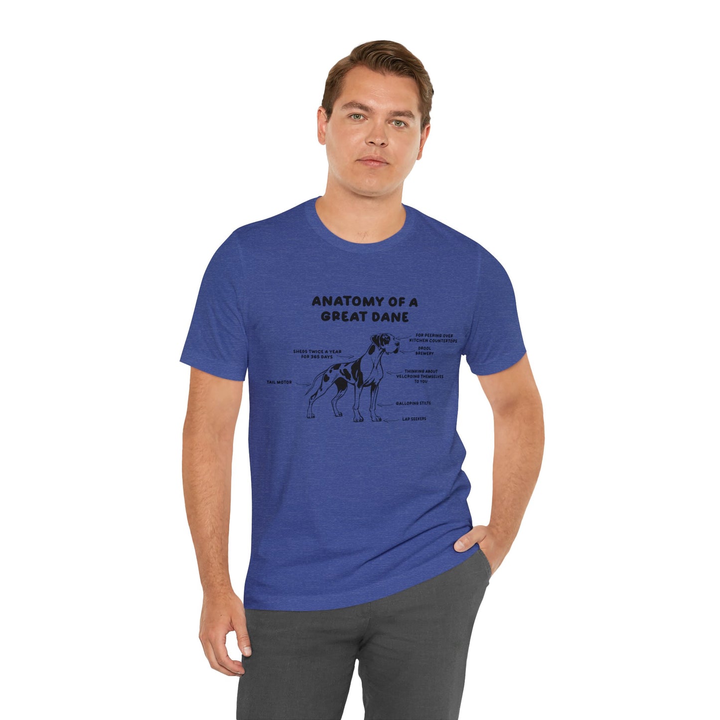 Anatomy of a Great Dane Funny Shirt