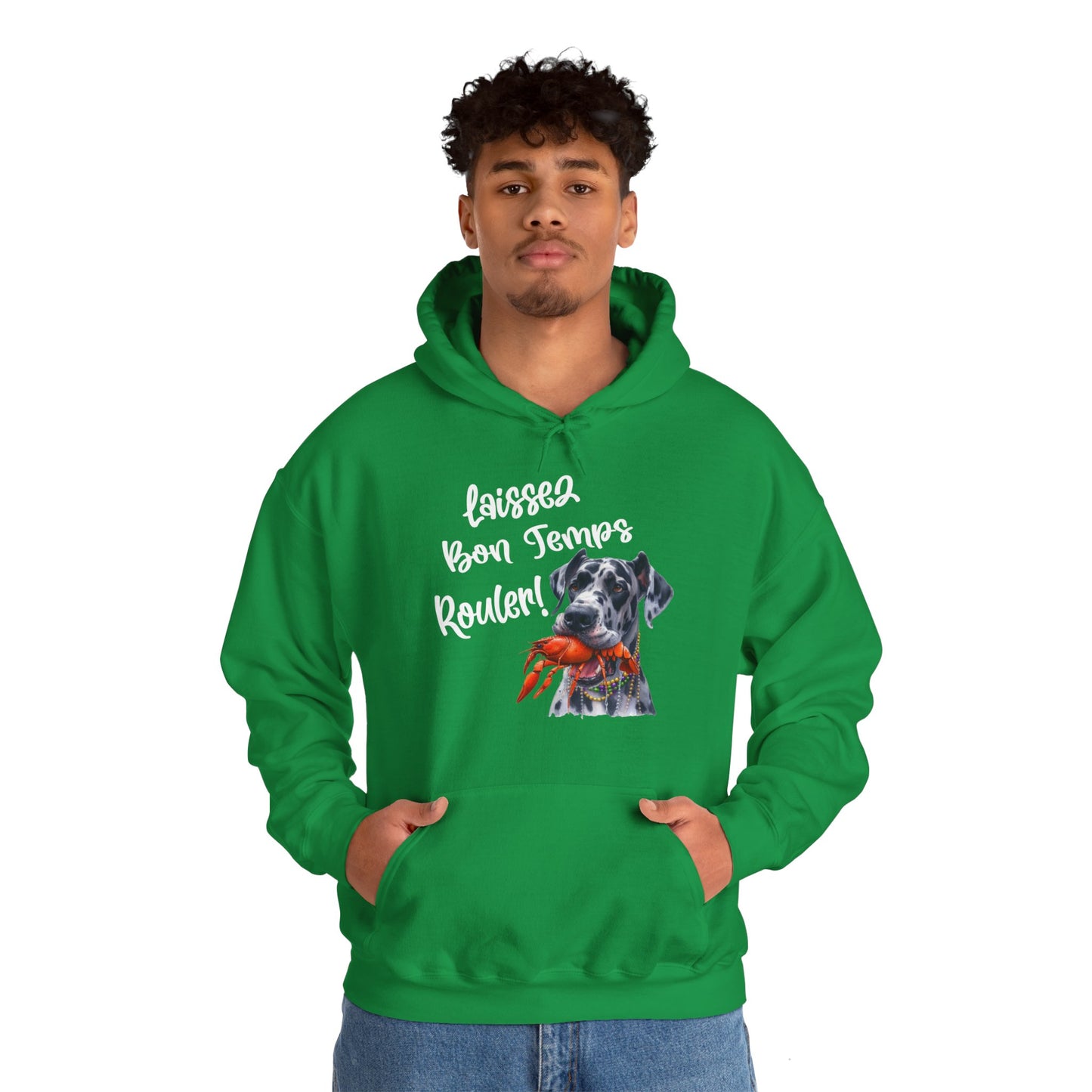 Great Dane Laissez Les Bon Temps Rouler Hooded Sweatshirt, Let the Good Times Roll Mardi Gras, Fat Tuesday, Carnival , Mardi Gras Gift, Dog Party